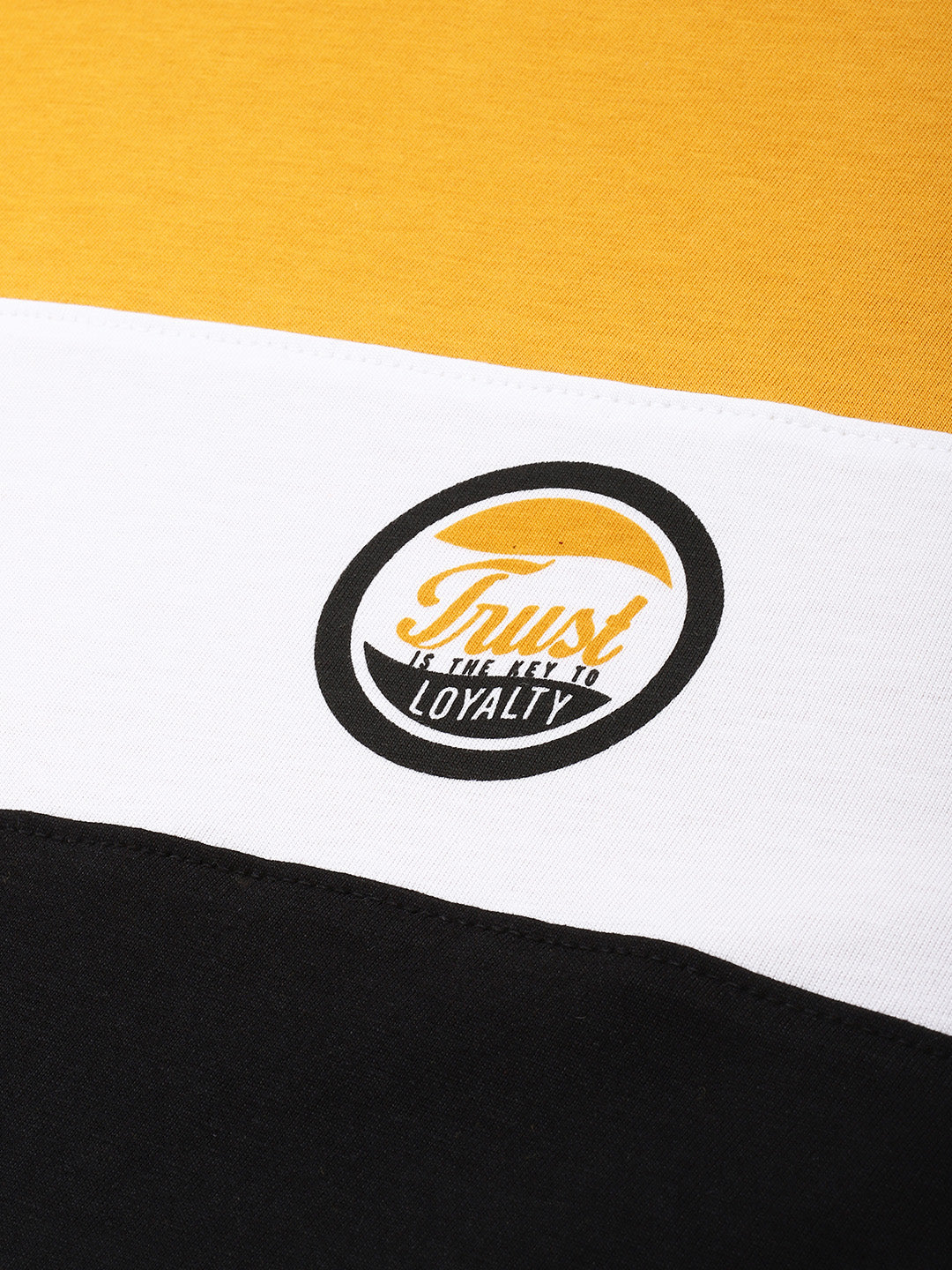 Mens Full Sleeve Round Neck Colourblocked Regular Fit Tshirts