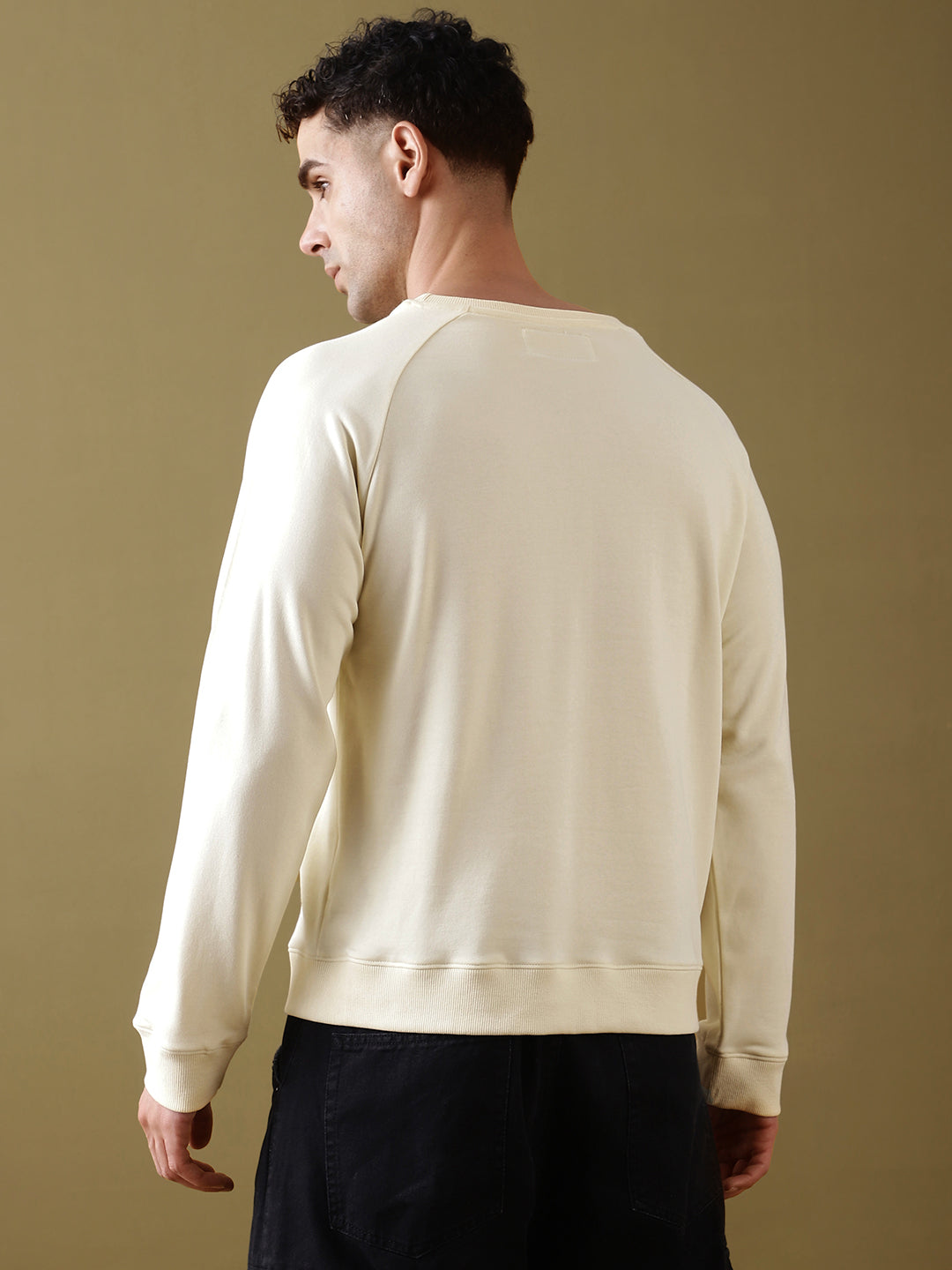 Mens Full Sleeve Round Neck Regular Fit T-Shirts