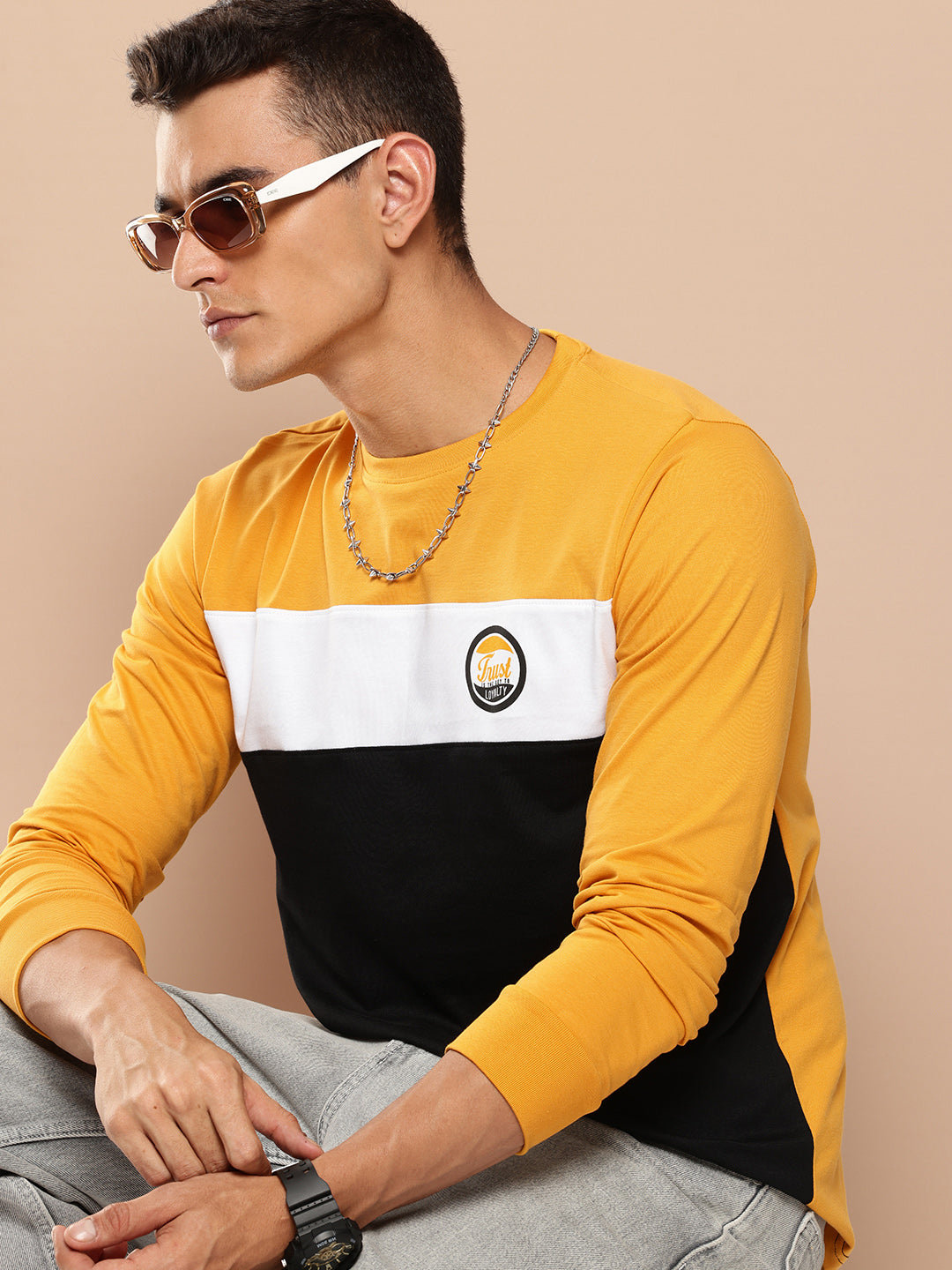 Mens Full Sleeve Round Neck Colourblocked Regular Fit Tshirts