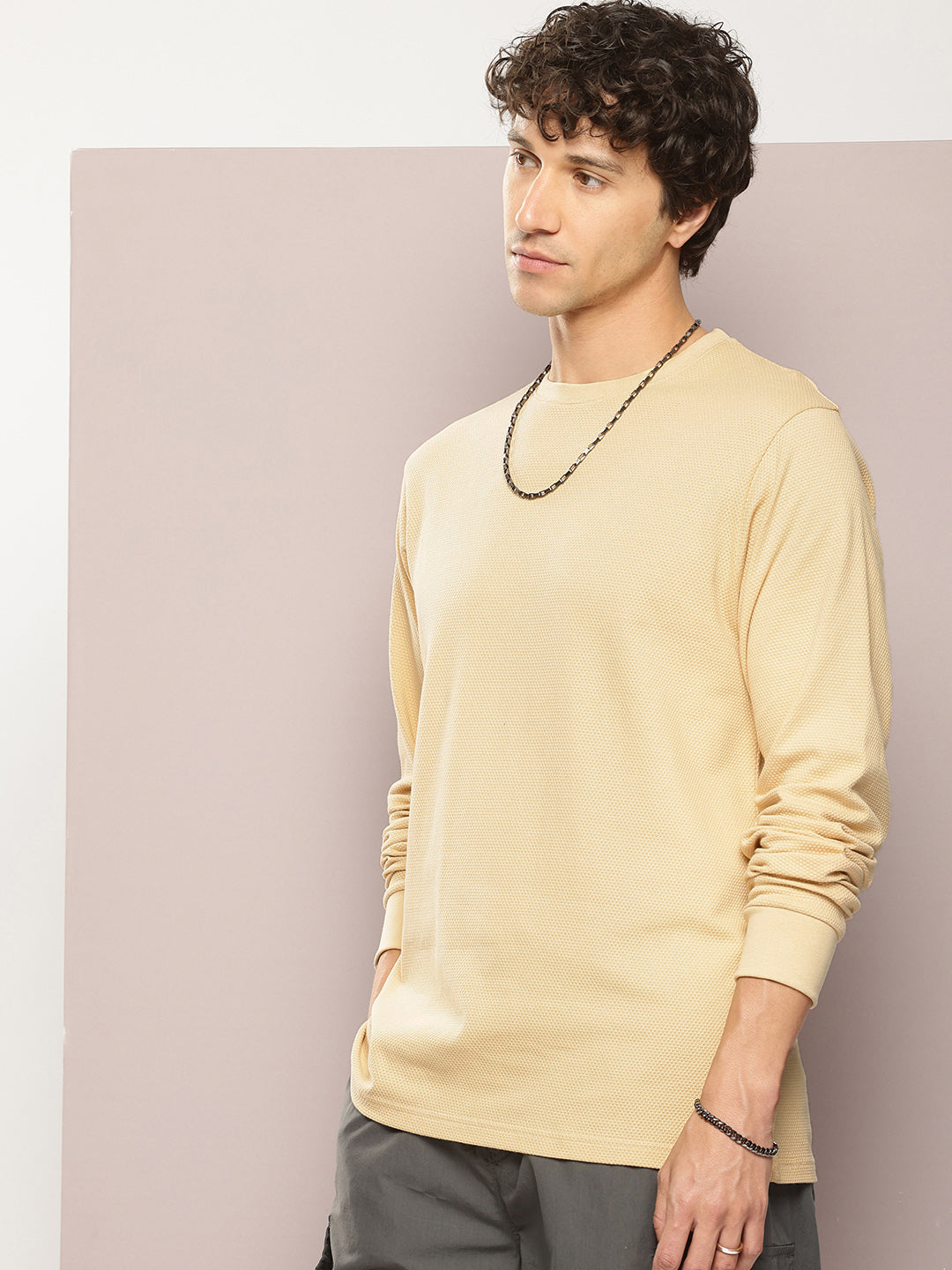 Mens Full Sleeve Round Neck Solid Regular Fit Tshirts