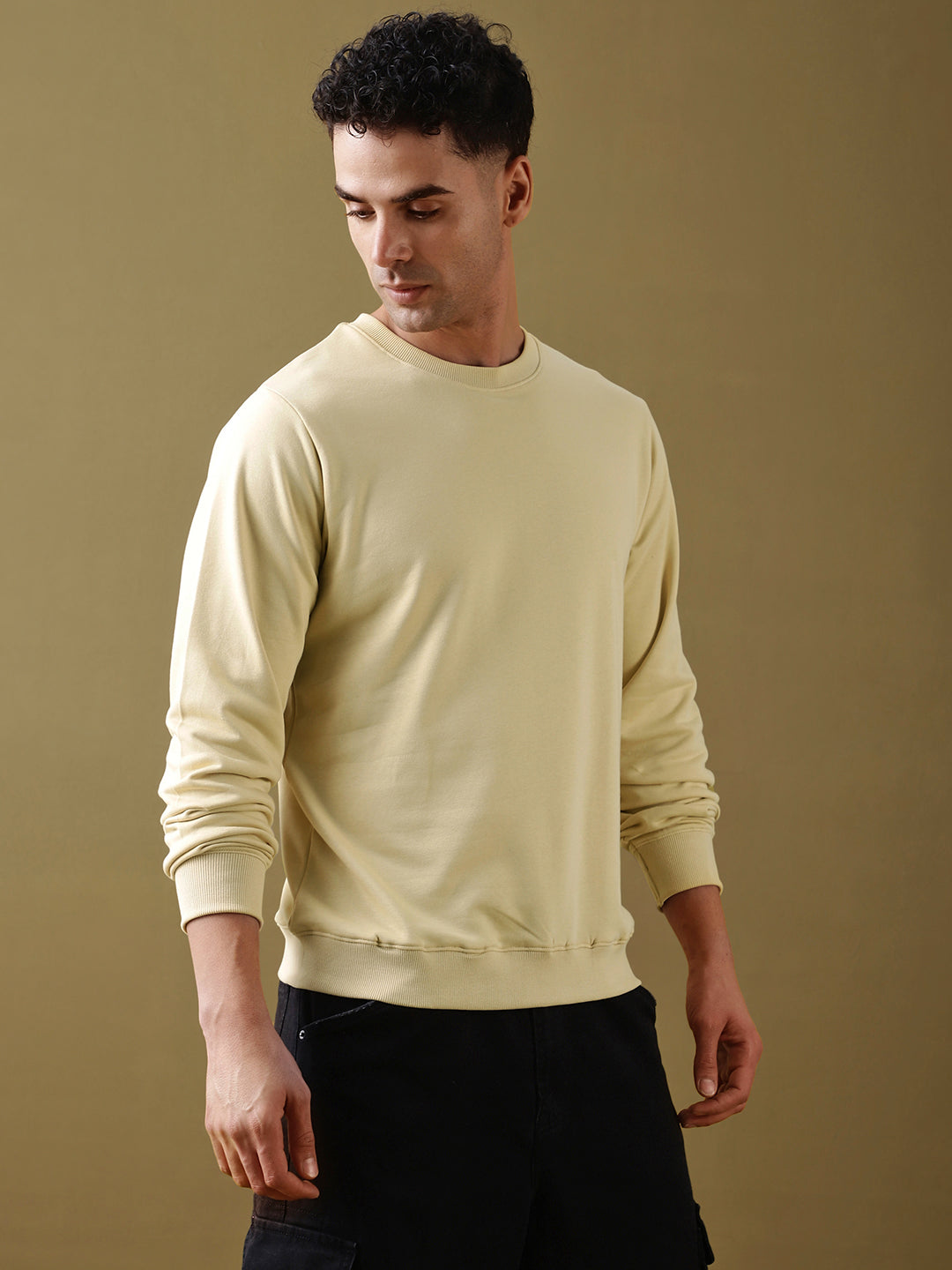 Mens Full Sleeve Round Neck Regular Fit T-Shirts