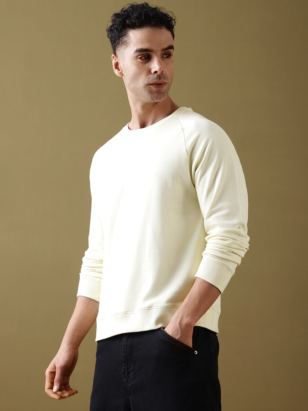 Mens Full Sleeve Round Neck Regular Fit T-Shirts