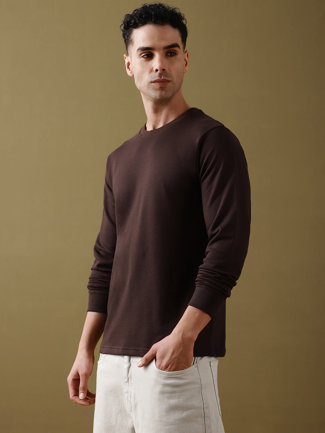 Mens Full Sleeve Round Neck Regular Fit T-Shirts