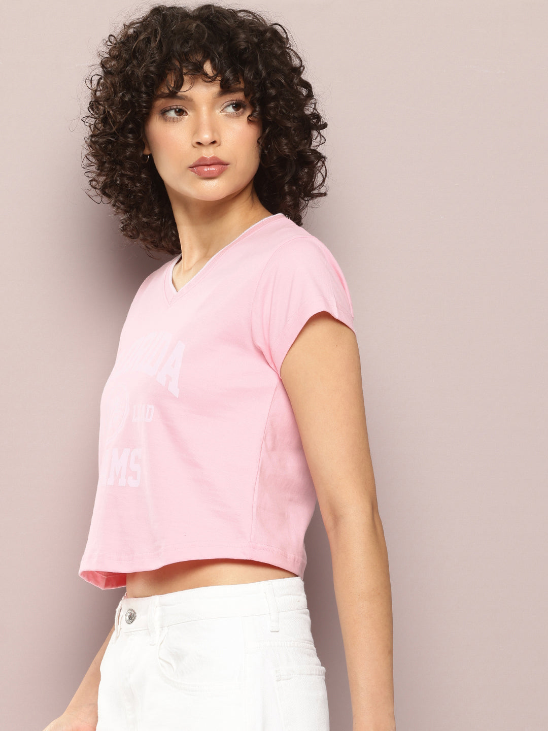 Womens Half Sleeve V-Neck Printed Regular Fit Tshirts